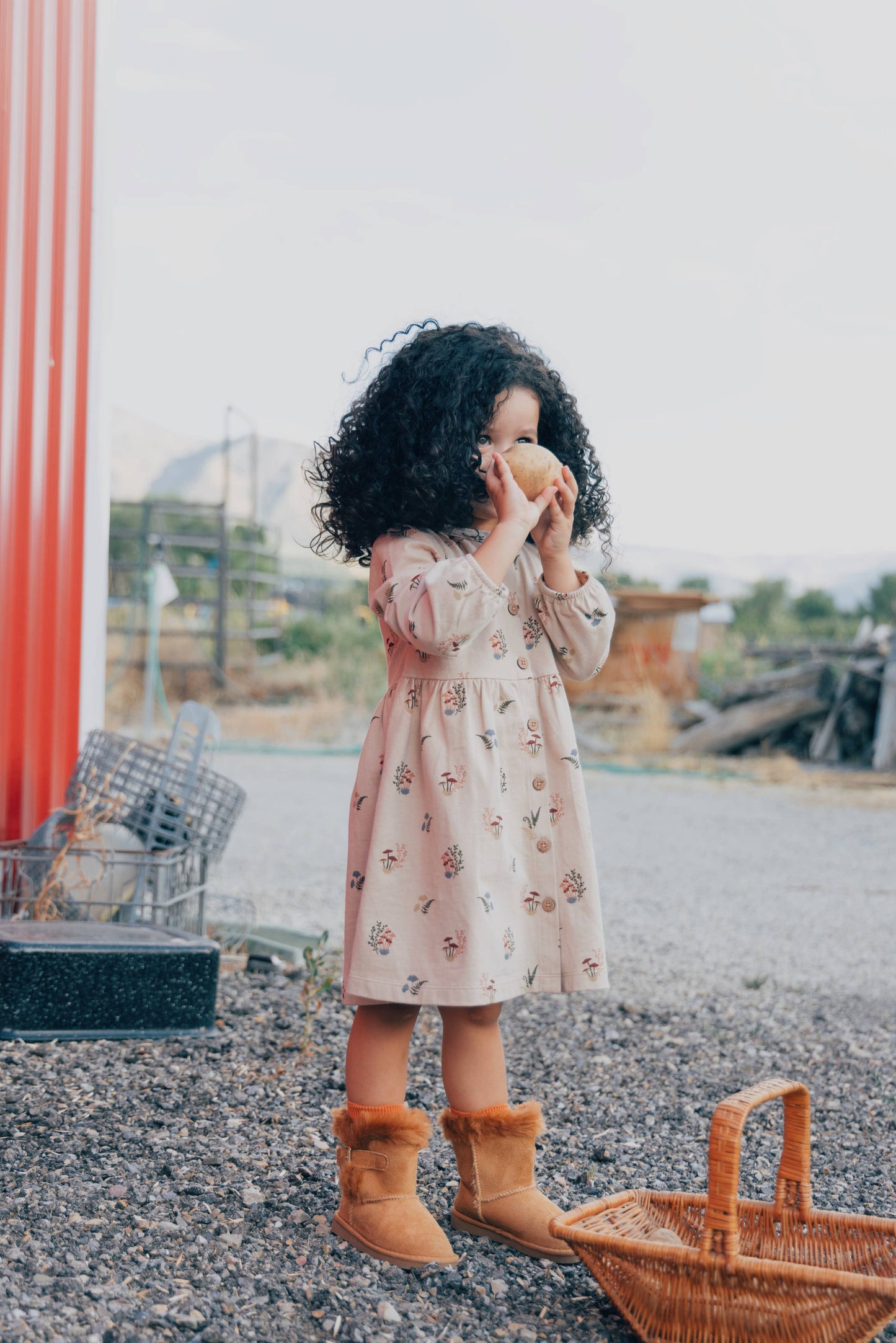 Fall Mushrooms Dress