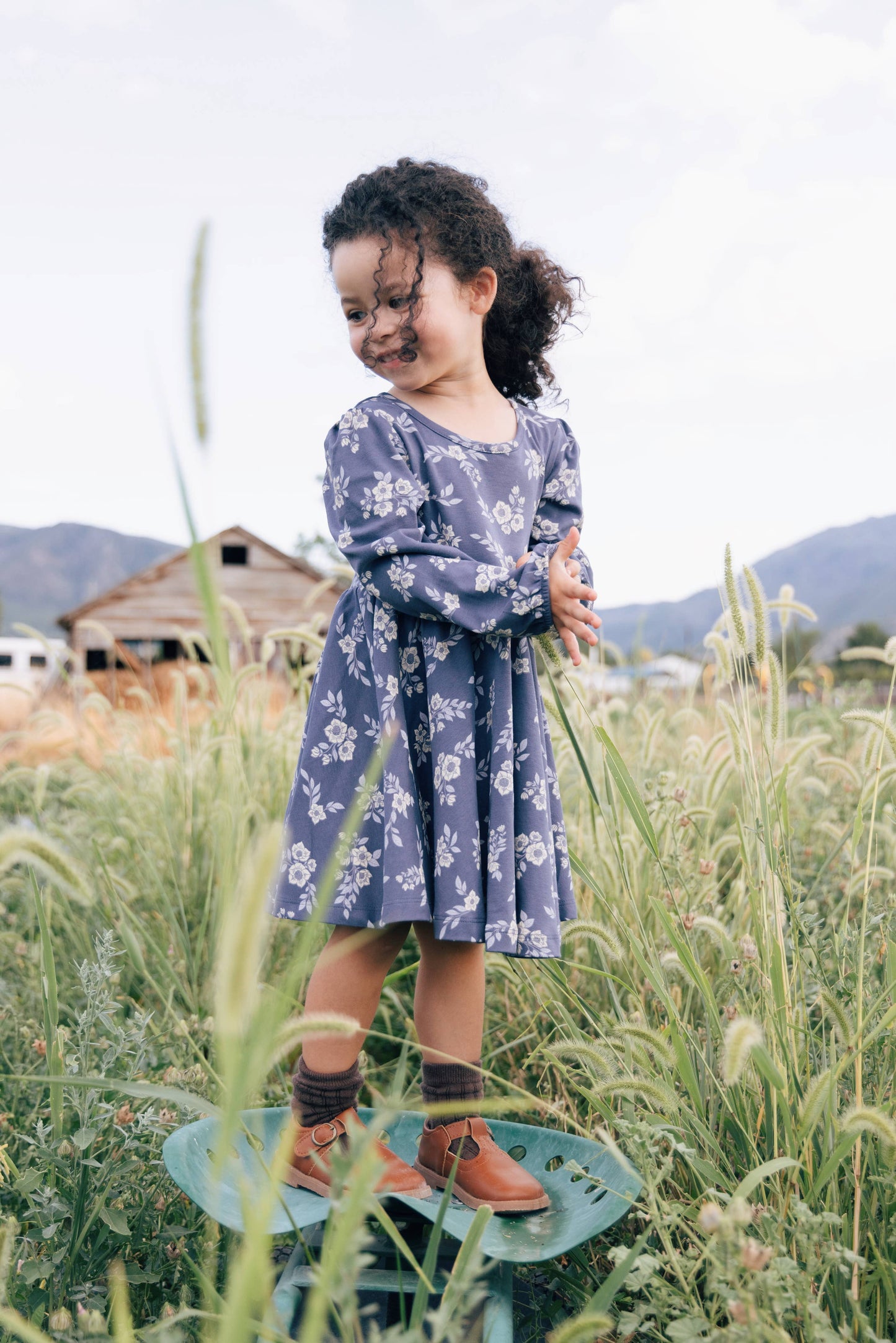 Fall Hellebore Twirl Dress