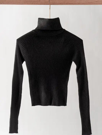 Cropped Turtleneck