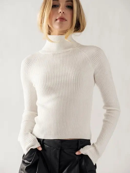 Cropped Turtleneck