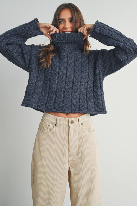 Thick Braid Turtleneck Sweater (More Colors)