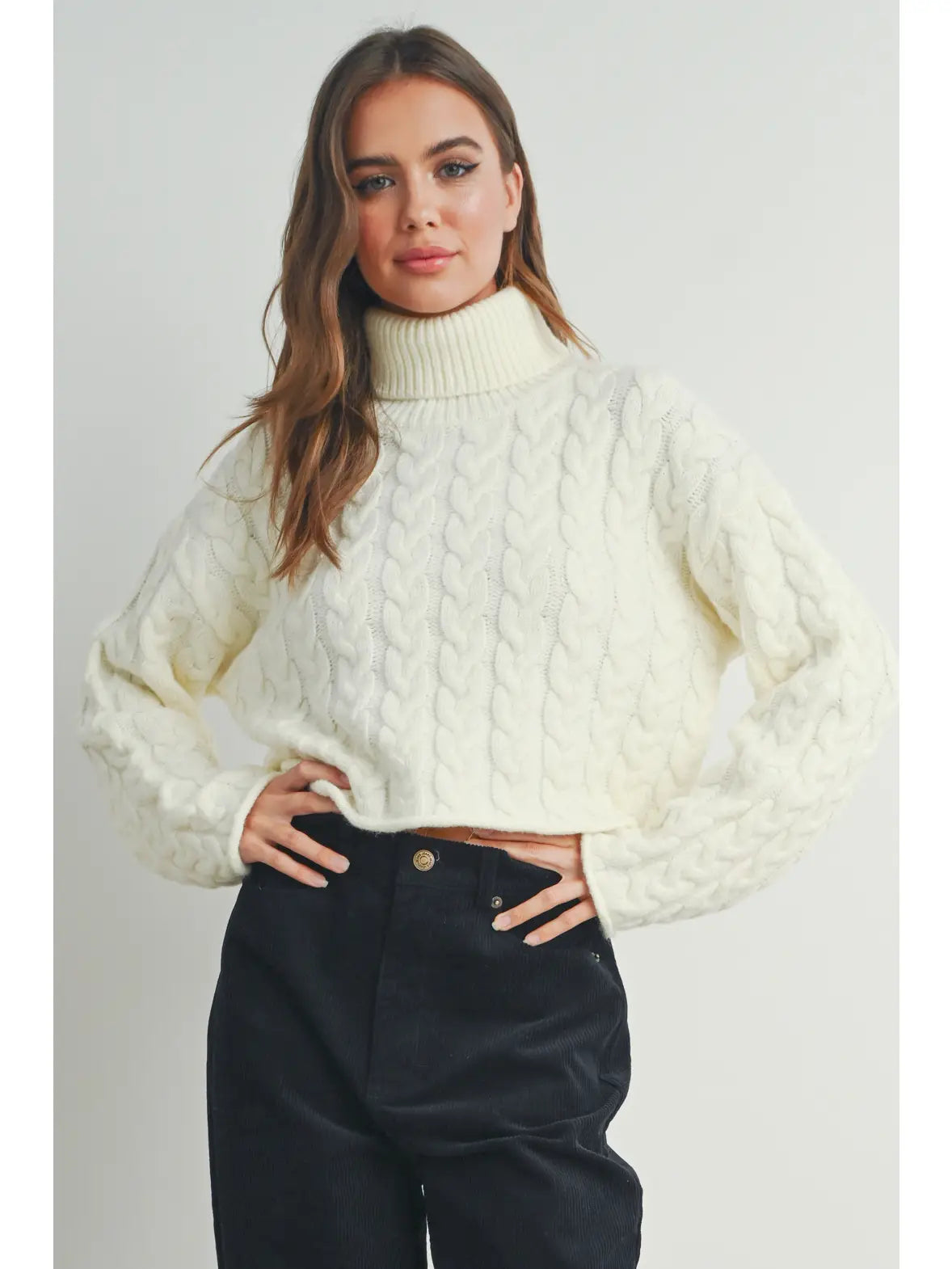 Thick Braid Turtleneck Sweater (More Colors)