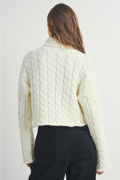 Thick Braid Turtleneck Sweater (More Colors)