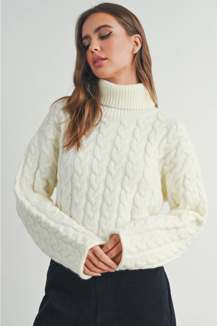 Thick Braid Turtleneck Sweater (More Colors)